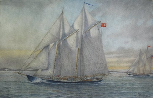 bluenose